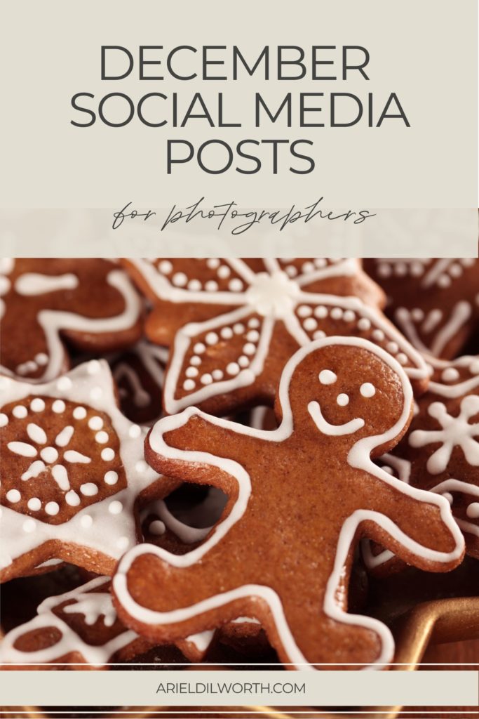 December Post Ideas for Photographers | Marketing for Photographers with Ariel Dilworth